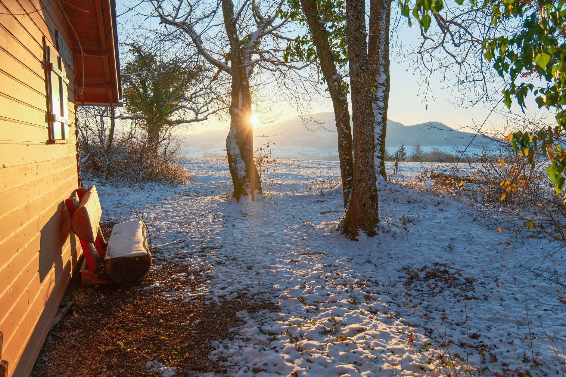 A serene winter morning view from a rustic cabin with snow, trees, and golden sunrise.