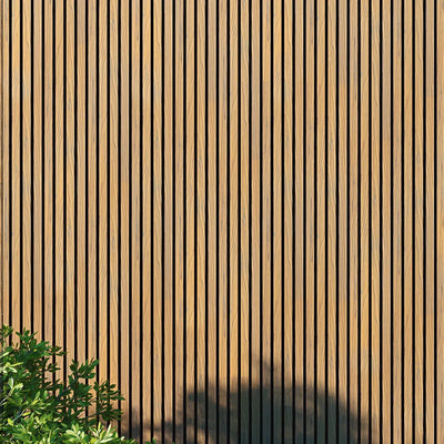 Panneau Bois Extérieur Bouleau 290CM | Façade | Jardin | Texture 3D